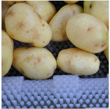 1609136427358914.png 土豆去皮機效果圖2.png
